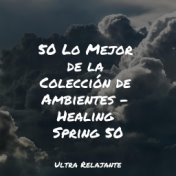 50 Lo Mejor de la Colección de Ambientes - Healing Spring 50