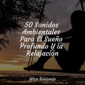 50 Sonidos Ambientales Para El Sueño Profundo Y la Relajación