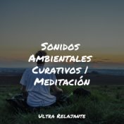 Sonidos Ambientales Curativos | Meditación