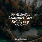 50 Melodías Relajantes Para Relajarse Y Meditar