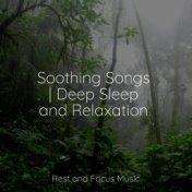 Soothing Songs | Deep Sleep and Relaxation