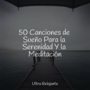 50 Canciones de Sueño Para la Serenidad Y la Meditación