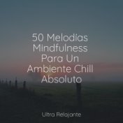 50 Melodías Mindfulness Para Un Ambiente Chill Absoluto