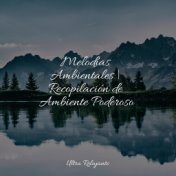 Melodías Ambientales | Recopilación de Ambiente Poderoso