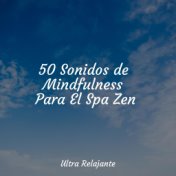 50 Sonidos de Mindfulness Para El Spa Zen
