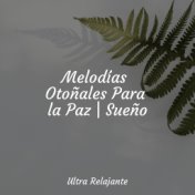 Melodías Otoñales Para la Paz | Sueño