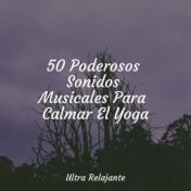 50 Poderosos Sonidos Musicales Para Calmar El Yoga