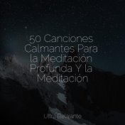 50 Canciones Calmantes Para la Meditación Profunda Y la Meditación