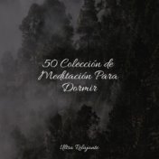 50 Colección de Meditación Para Dormir