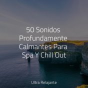 50 Sonidos Profundamente Calmantes Para Spa Y Chill Out