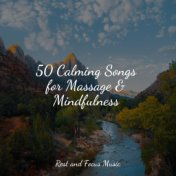 50 Calming Songs for Massage & Mindfulness