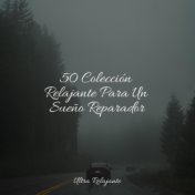 50 Colección Relajante Para Un Sueño Reparador