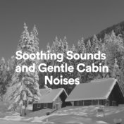 Soothing Sounds and Gentle Cabin Noises