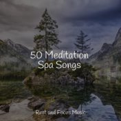 50 Meditation Spa Songs