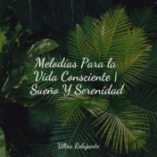 Melodías Para la Vida Consciente | Sueño Y Serenidad