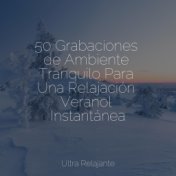 50 Grabaciones de Ambiente Tranquilo Para Una Relajación Veranol Instantánea