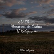 50 Obras Maestras de Calma Y Relajación