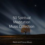 50 Spiritual Meditation Music Collection