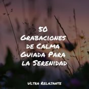 50 Grabaciones de Calma Guiada Para la Serenidad