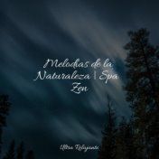 Melodías de la Naturaleza | Spa Zen