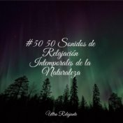 #50 50 Sonidos de Relajación Intemporales de la Naturaleza