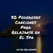 50 Poderosas Canciones Para Relajarse en El Spa