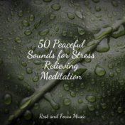 50 Peaceful Sounds for Stress Relieving Meditation