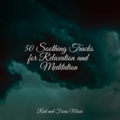 50 Soothing Tracks for Relaxation and Meditation