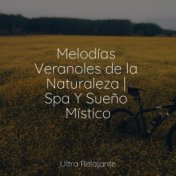 Melodías Veranoles de la Naturaleza | Spa Y Sueño Místico