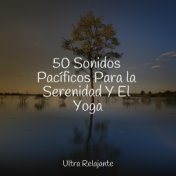 50 Sonidos Pacíficos Para la Serenidad Y El Yoga