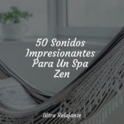 50 Sonidos Impresionantes Para Un Spa Zen