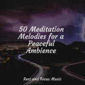 50 Meditation Melodies for a Peaceful Ambience
