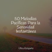 50 Melodías Pacíficas Para la Serenidad Instantánea