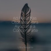 50 Melodías Otoñales Para Ayudarte a Concentrarte