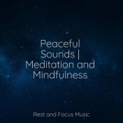 Peaceful Sounds | Meditation and Mindfulness