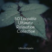 50 Loopable Ultimate Relaxation Collection