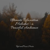 Ultimate Relaxation Melodies | a Peaceful Ambience