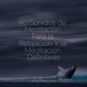 50 Sonidos de Meditación Para la Relajación Y la Meditación Definitivas