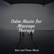 Calm Music for Massage Therapy