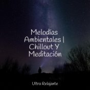 Melodías Ambientales | Chillout Y Meditación