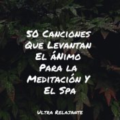 50 Canciones Que Levantan El áNimo Para la Meditación Y El Spa