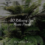 50 Relaxing Spa Music Pieces