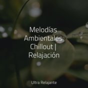 Melodías Ambientales Chillout | Relajación