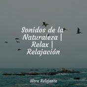 Sonidos de la Naturaleza | Relax | Relajación