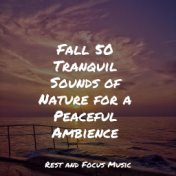 Fall 50 Tranquil Sounds of Nature for a Peaceful Ambience