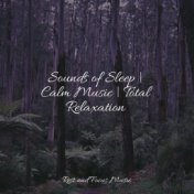 Sounds of Sleep | Calm Music | Total Relaxation