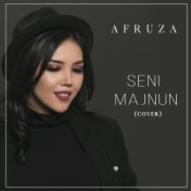 Seni Majnun (cover)