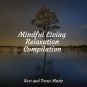 Mindful Living Relaxation Compilation