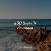 #50 Sueño Y Serenidad