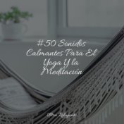 #50 Sonidos Calmantes Para El Yoga Y la Meditación